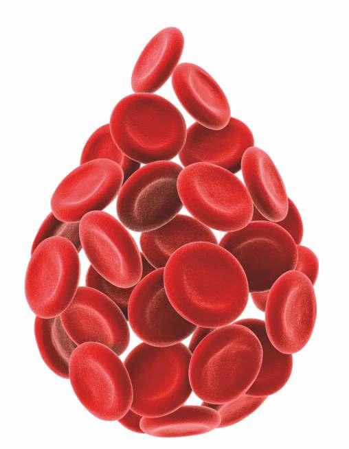 TRANSFÜZYON SETİ TRANSFUSION SET TRANSFÜZYON SETİ TRANSFUSION SET Kan verme setleri, hastaya kanı ölçülü ve kontrollü bir şekilde verebilmek için kullanılmaktadır.