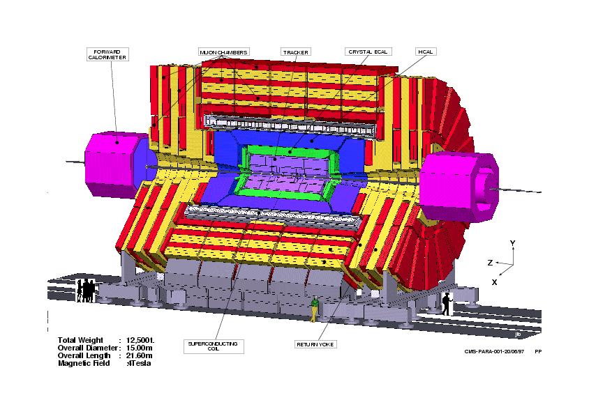 Modern Dedektör Sistemleri Muon Barrel Drift Tube ( DT ) Chambers Resistive Plate Chambers ( RPC ) Muon Endcapsl Cathode Strip ( CSC ) Chambers Resistive Plate Chambers ( RPC ) CMS dedektörü