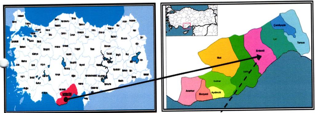 tarafından 500 kw kapasiteli, Güneş Enerjisi Santrali Tesisi kurulması istenmektedir.