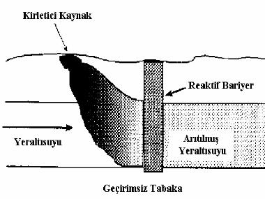 1.GİRİŞ Bitkisel tasfiye, kirlenmiş bölgede yetiştirilecek bitkiler yardımıyla kirleticilerin bitki bünyesine alınması (phytoextraction) veya bitkinin yetiştiği toprağın ph ını değiştirerek