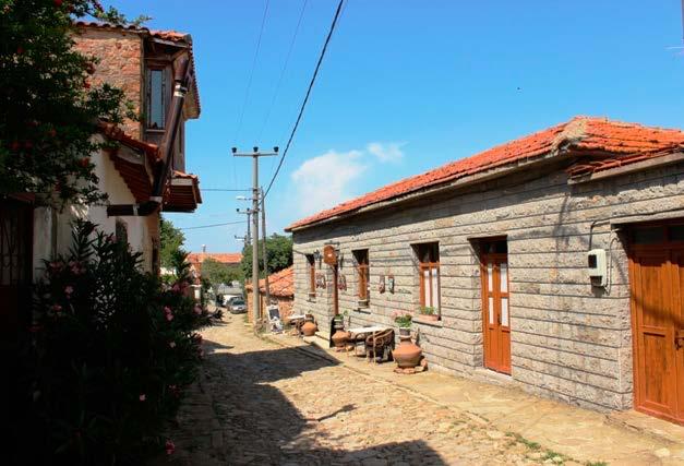 Ormanda bulunan ağaçlardan dökülen yapraklar ve kozalaklar temizlenmediği için, en ufak bir kıvılcımda yangın çıkma olasılığı çok yüksek. Sigara içenleri lütfen uyarınız.