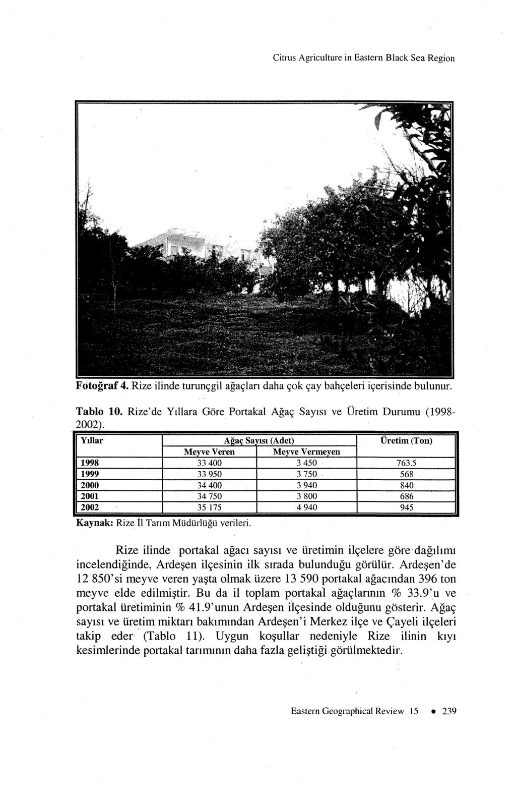 Citrus Agriculture in Eastern Black Sea Region Fotograf 4. Rize ilinde turuncgil agaclan daha cok cay bahceleri icerisinde bulunur. Tablo 10.