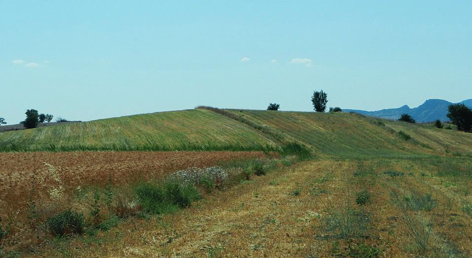 Yerleşme, doğu ve güneye doğru inen eğimleriyle eski bir menderese bakan Boz Çayı nın eski bir yakasının tepesinde konumlanmaktadır (Res. 2).