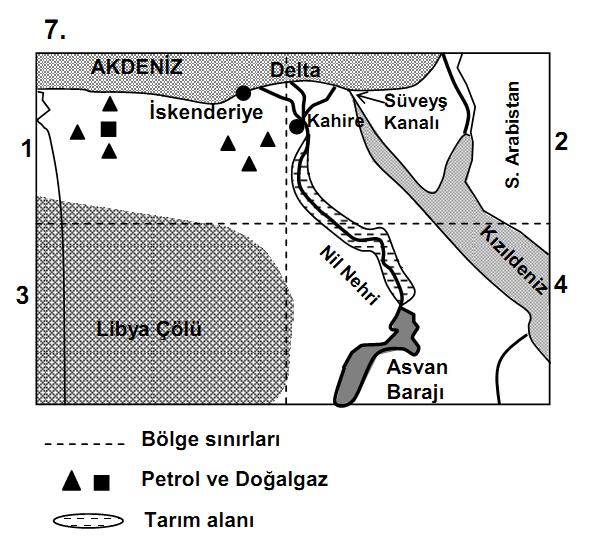 ÖRNEKLER