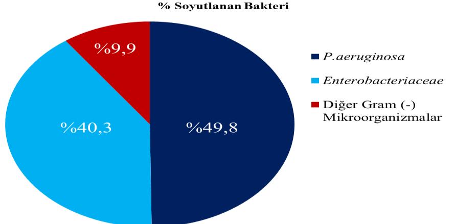 % Karbapenem Direnci Şekil 1.38 Compact çalışması kapsamında 2008 yılında ülkemizde on merkezden toplanan Gram (-) mikroorganizmaların dağılımı ve karbapenemlere direnç durumu (Korten vd.