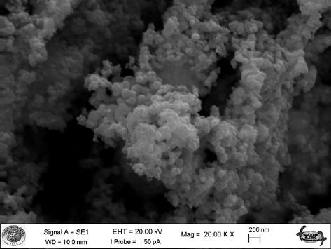 ImageJ programı kullanılarak yapılan hesaplama sonucunda ortalama fiber çapı 800 nm olarak belirlenmiştir.