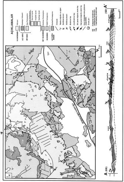 116 Yerbilimleri Þekil 3: Savcun yšresinin jeoloji haritasý ve enine