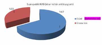 coli nin genişlemiş spektrumlu beta-laktamaz (ESBL) pozitif (%66.6, n=2) olduğu gözlenmiştir (Şekil 2). Kültür pozitif İYE saptanan hastaların %22.