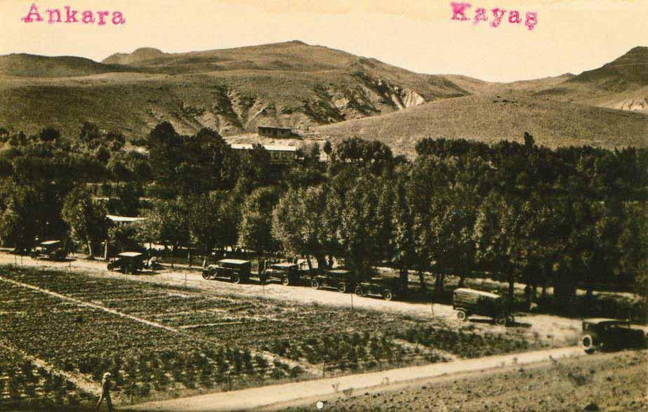 aya ahçelerinden Bu bağlarda mevcut üzüm cinslerinin belli başlıları şunlardır: Kara üzüm, çavuş üzümü, parmak üzümü, kara gevrek, bulut üzümü, erolan, yatık üzümü, gül üzümü, kocahasan.