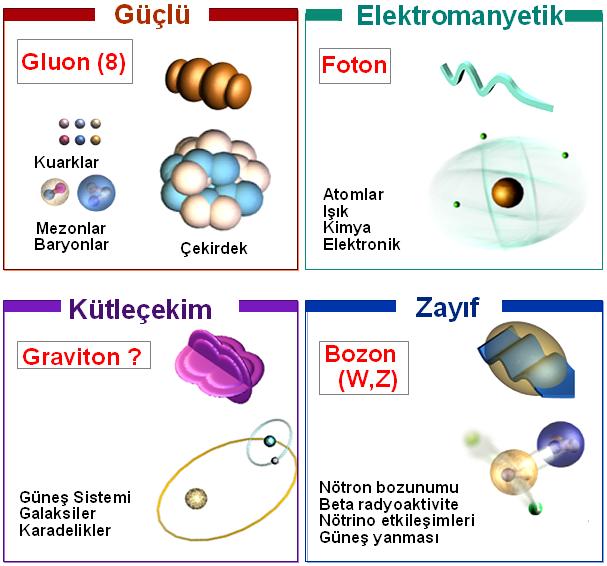 TEMEL ETKİLEŞMELER Doğada 4 tip etkileşme olduğunu