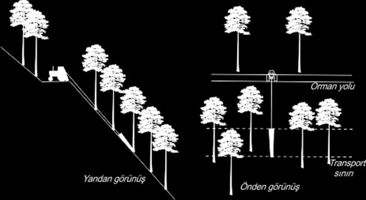 ürününe bağlar.