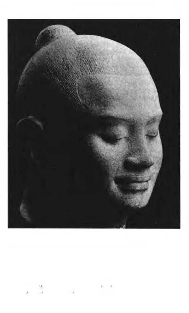 Şekil 28. Buda gülümsemesi. VII. Jayavarman'ın başı. (Angkor dönemi, XII-XIII. yy.