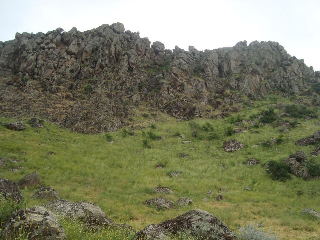 Şekil 2.12. Kargabedir volkanitlerinin bozunması. Bu bloklar dairesel bir bölge tarafından sınırlanmaktadır.