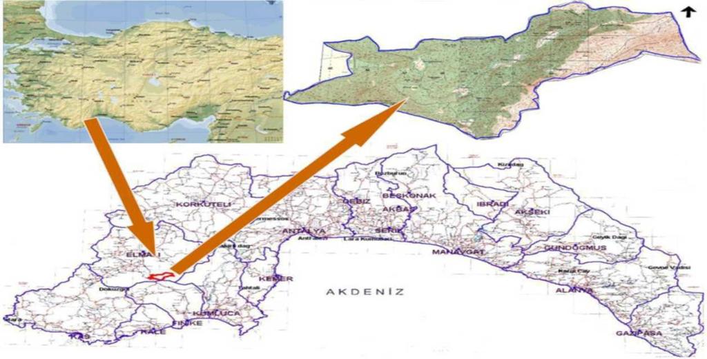 4.1.10. Elmalı sedir araştırma ormanı hakkında bilgi Elmalı Sedir Araştırma Ormanı Türkiye'nin güneybatısında, Antalya ilinin 130 km güney batısında ve Avlan Gölü'nün doğusunda yer almaktadır.