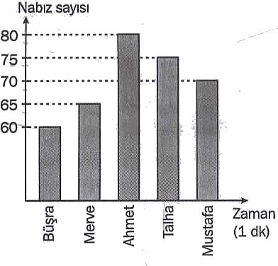 7. 9. Soluk alma esnasında havanın izlediği yol, aşağıdaki seçeneklerden hangisinde doğru olarak sıralanmıştır? A. burun-yutak-gırtlak-soluk borusuakciğer B. burun-gırtlak-yutak-soluk borusuakciğer C.