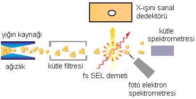 deneyin şematik gösterimi 44 Yığın ve yığın iyonlarının