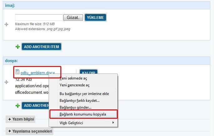 (Şekil-37) Metin içersinde hangi bölüme tıkladığında dosyanın açmalarını istiyor iseniz o kelimeyi / cümleyi fareniz ile seçili hale getirin ve editör penceresi menüsünden İnsert / Edit Anchor