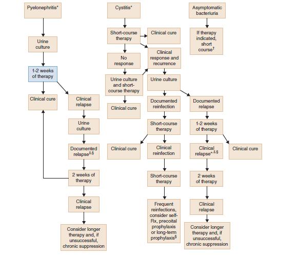 Approach to the management of urinary