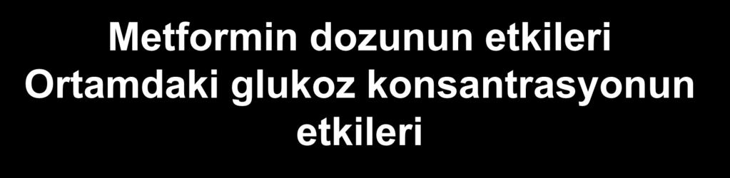 Metformin dozunun etkileri Ortamdaki glukoz konsantrasyonun etkileri in vitro; Metformine bağlı mtor inhibisyonu fizyolojik glukoz konsantrasyonlarında suprafizyolojik düzeylere göre Hiperglisemi