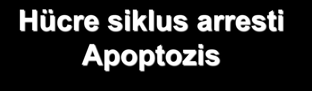 Hücre siklus arresti Apoptozis Metformin; G0-G1 fazda hücre