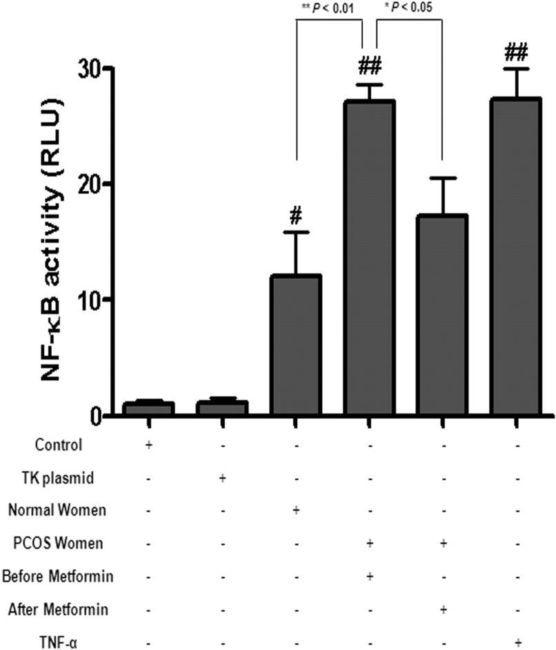 Metformin NF-κB, MMP-2 ve MMP-9 u inhibe ederek invazyon ve metastazı engellemektedir NF- B Matrix