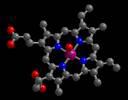 Myoglobin hemoglobinden 4 kat büyüktür.