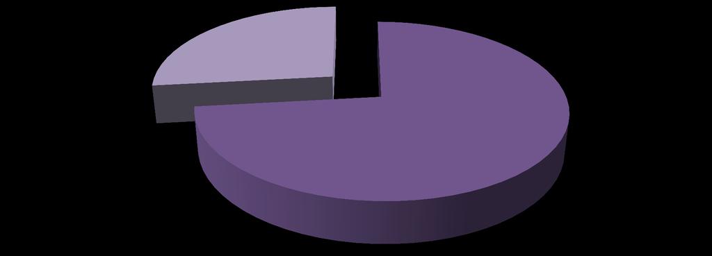 Yatırımların Finansal Dağılım Yüzdeleri 27% 73%