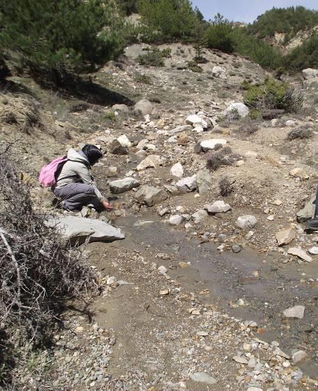 Andezitik kayaçların farklı mineralojik bileşime sahip oldukları ve böylece piroksen andezit, biyotit andezit, amfibol andezit olarak çeşitlere ayrılabileceği belirlenmiştir (Kuşcu ve Gedikoğlu, 199).