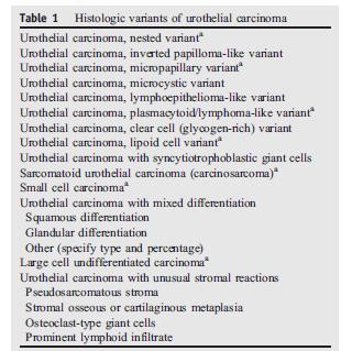 Ürotelyal kanserin histolojik varyantları Urothelial carcinoma, nested variant Urothelial carcinoma, inverted papilloma-like variant Urothelial carcinoma, micropapillary variant Urothelial carcinoma,