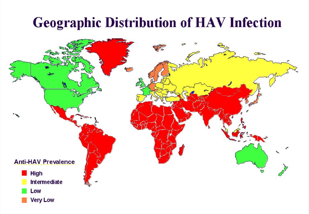 Hepatit A Virusunun Dağılımı Anti HAV