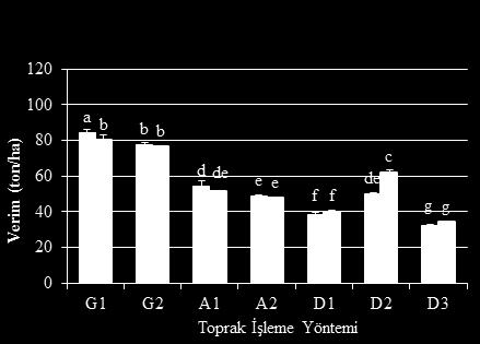 2008 yılınd ise D3 ve D3Ö yöntemlerindeki domtes veriminin (59,5-68,9 ton h - 1 ) ilk yıl göre dh yüksek olduğu belirlenmiştir.