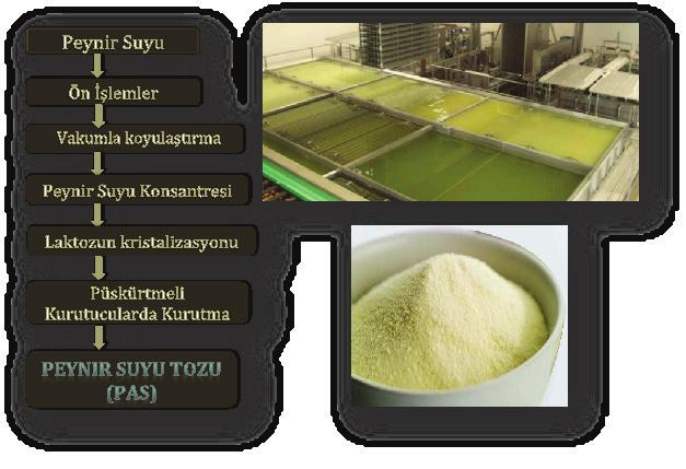 44 Prof. Dr. Kemal Çelik PAS tozları gıda endüstrisinde çok farklı alanlarda kullanılmakla birlikte, en yaygın olarak gıdalara aroma vermek için kullanılmaktadır.