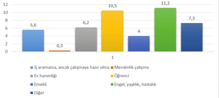 Ekim/Kasım/Aralık Güz Dönemi Cilt: 2 Sayı: 6 Yıl:2013 Jel Kodu: L8 - L 82 ID:92 K:100 Şekil 3: Kadın İstihdamında Zorluk Yaratan Faktörler 1937 yılında yapılan ilk seçimlerde meclisin % 4,5 inde