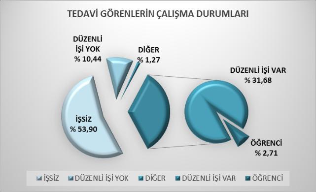 tedavi olan hastaların %74,17 sinin (8.073) başta eroin olmak üzere opiyat kullandığı anlalışmaktadır. (12).