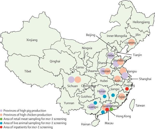 Emergence of plasmid-mediated colistin resistance mechanism MCR-1 in animals and human beings in China: a microbiological and molecular biological study MCR-1 liphosphoethanolamine transferase