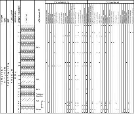 Avflar vd. 5 larda da saptand gibi formasyonun yafl n n Miyosen (Tortoniyen) oldu u belirlenmifltir (Yetifl, 1988; Ö rünç, 2001).