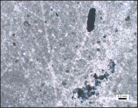 rastlanmamıştır. Kireçtaşı örneğinden alınmış örneklerin mikroskobik incelenmesi sonucunda aşağıdaki mineraller tespit edilmiştir.
