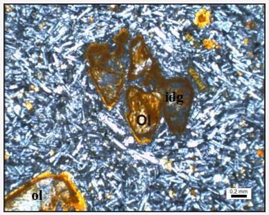 Plajioklas: Kesitte hakim minerali oluşturur. Genellikle iğnemsi görünümlü, bazen kibrit çöpü görünümlü mikrolitler şeklinde izlenirler Olivin: Plajioklastan sonra ikinci hakim minerali oluşturur.