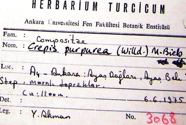 98 Tür Avrupa'nın Yaban Hayatı ve YaĢama Ortamlarını Koruma SözleĢmesi nin Ek-1 bölümünde Kesin olarak