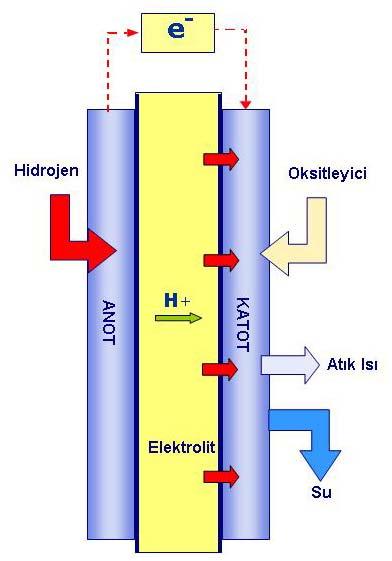 _ 175 Bu çalışmada, özellikle son 15 yılda diğer sabit yakıt pili uygulamalarına kıyasla, ticari ve teknolojik açıdan belli bir olgunluğa erişen fosforik asitli yakıt pilleri ele alınacak, ticari