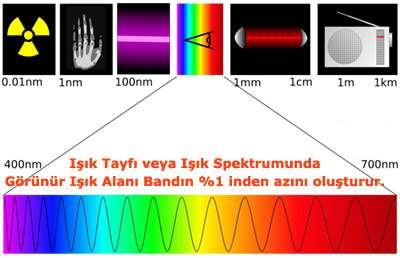 RADYASYONUN TANIMI, TÜRLERİ VE KAYNAKLARI Görünür Işık: Dalga boyu 400 nm nin altında olan mor ışıktan yaklaşık 740 nm dalga