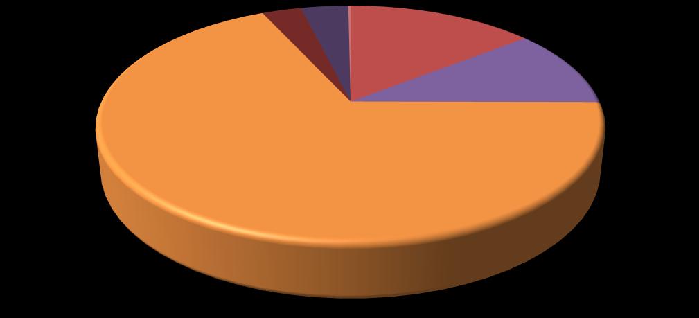 Artvin Çoruh Üniversitesi Seyitler Yerleşkesinin Güz Dönemi Katı Atık Karakterizasyonu Plastik 3% 4% Tekstil Tehlikeli Organik 14% 11% 68% Şekil 7: İkinci atık karakterizasyon çalışması (02/11/2016)