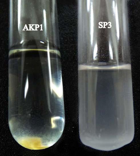 133 Resim 4.17. E. coli ATCC 1122