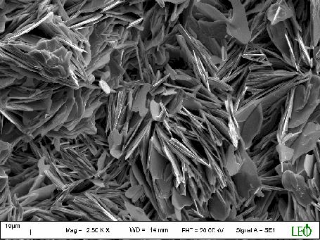 4. BULGULAR VE TARTIŞMA Duygu YAZICI Şekil 4.3g- G örneğinin SEM fotoğrafı (20 kv,x2500, 10µm).