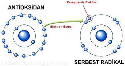 Şekil 2.3.