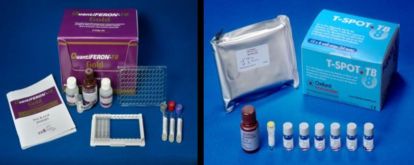 İnterferon-ϒ Salınım Testleri FDA onaylı testler QuantiFERON -TB Gold-in-tube test