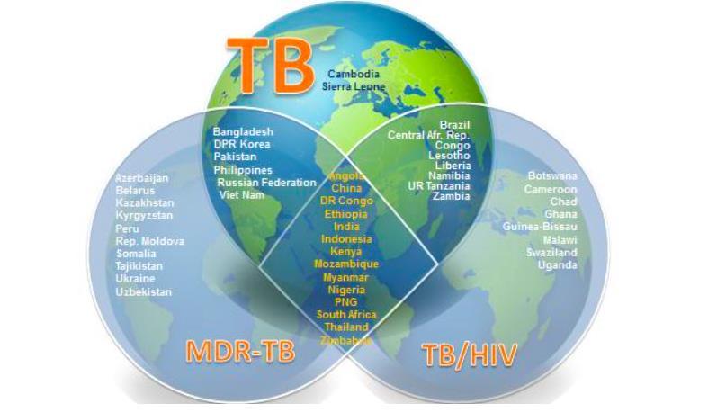 MTB Enfeksiyonu Mycobacterium tuberculosis (MTB) önemli bir enfeksiyöz ajan WHO