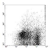 CD4 + CFSE + IL-17hücre (%) CD4 + CFSE + IL-13 + hücre (%) CD4 + CFSE + T hücre (%) CD4 + T hücre (%) CD4 + IFN-g + T hücre (%) Plevral efüzyon CD4 + CFSE + IFN-g + hücre (%) Kan Kan ve plevral