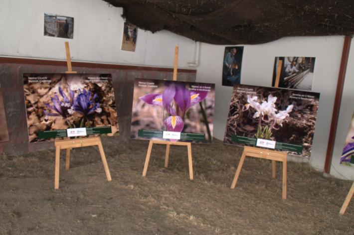 Milli Komisyonu tarafından 21 Mart 2015 Nevruz Bayramı'na özel olarak hazırlanan "Nevruz Çiçektir, Biyolojik Çeşitliliktir" Sergisine ev sahipliği