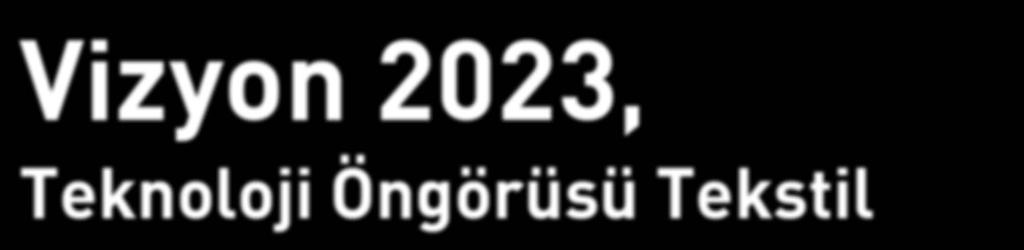 Bilim ve Teknoloji Yüksek Kurulu nun (BTYK) Haziran 2002 de aldığı kararla TÜBİTAK koordinatörlüğünde Türkiye Cumhuriyeti nin 100.